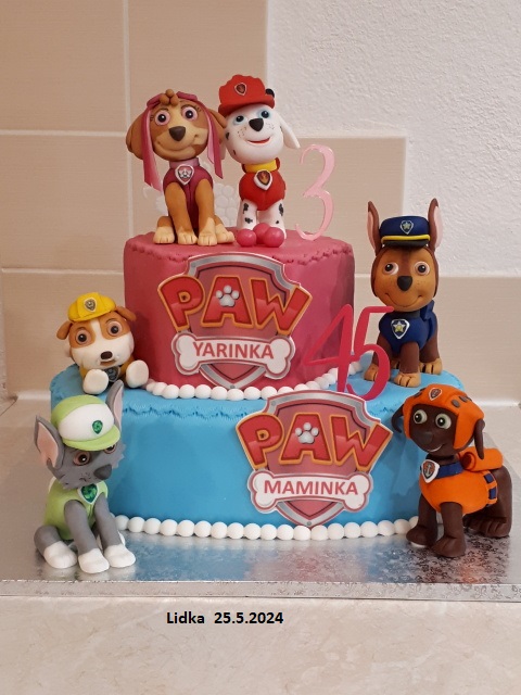 PAW patrol pro dva