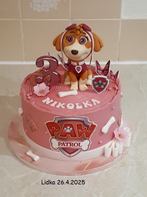 Paw patrol Skye