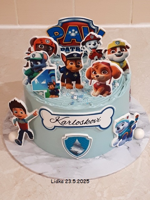 Paw patrol
